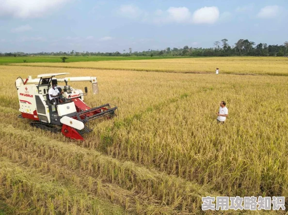 苏软软优质灌溉系统汉怡昏：农业科技新突破，助力农田高效灌溉与丰收！