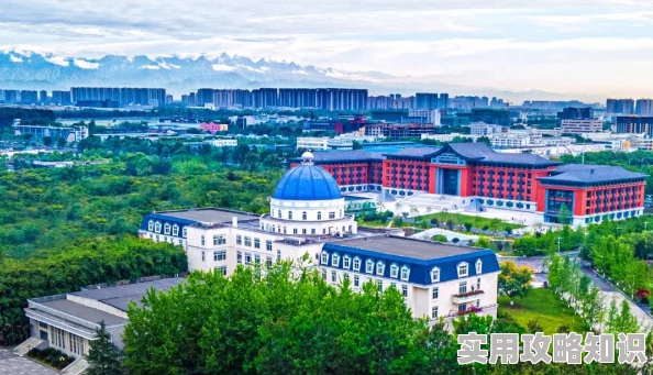 ACCA少女网课照片2023：分享学习心得与成长故事，展现青春活力与学术追求的完美结合