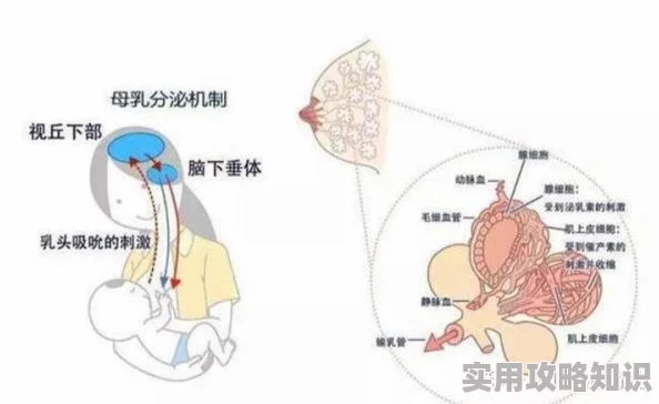 男人咬奶边做好爽免费视频2025AI智能推荐个性化母婴喂养指南