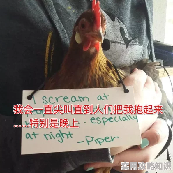 摸鸡鸡视频近日该视频在社交平台上引发热议，网友纷纷分享观看体验与感受