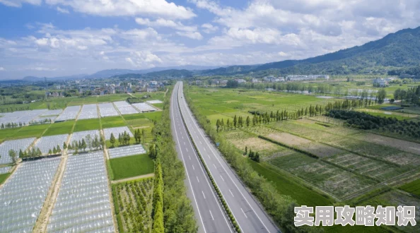 黄色生活毛片资源更新下载速度提升