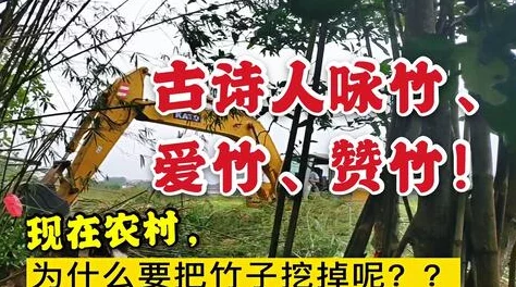 又黄又粗又爽免费观看现已更新至第10集精彩内容持续放送敬请期待