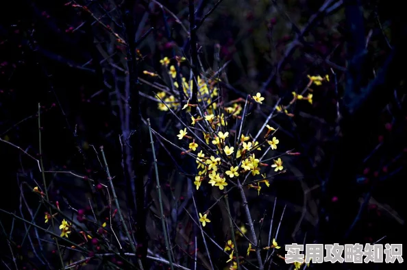 把语文老师c了一节课每一次课堂都是成长的机会让我们珍惜学习的时光共同进步