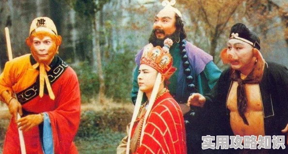 无人在线观看高清电视剧全集已更新至20集资源稳定流畅播放