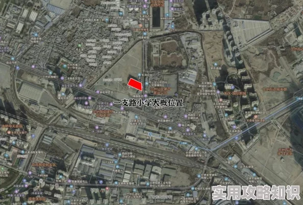 沈思李兵最新进展公布项目已完成初步测试