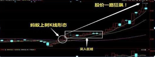 大胆展阴近日，艺术家在展览中展示了全新作品，吸引了众多观众前来参观。