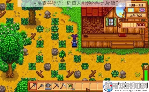 星露谷物语种地技巧揭秘：先做稻草人竟是关键，惊喜发现高效增产秘籍！