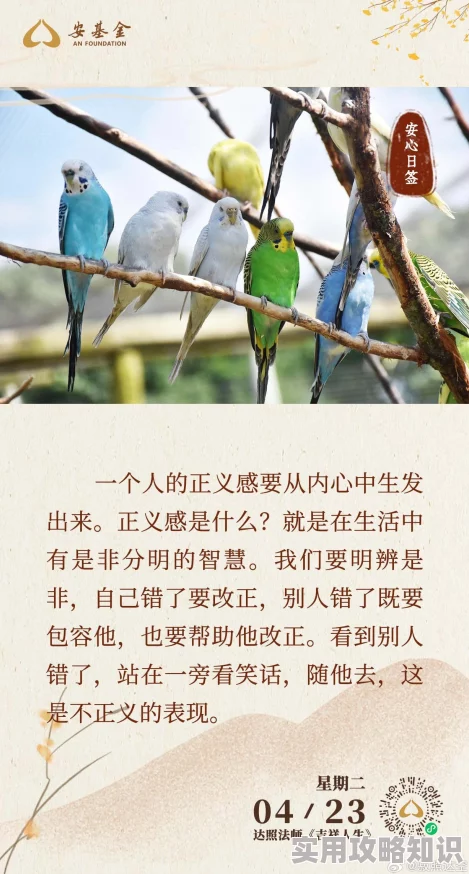 我的小兔子好软水好多软件下载正义的慈悲让我们心怀善念共同创造美好未来