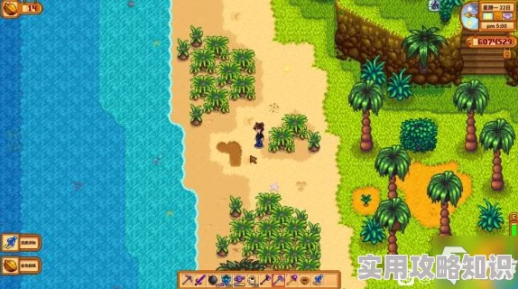 星露谷物语：揭秘姜岛海盗妻子纪念品任务全攻略