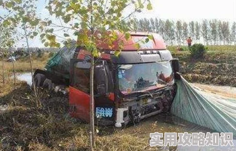我和么公在货车上疯狂酿成惨祸最终导致家破人亡