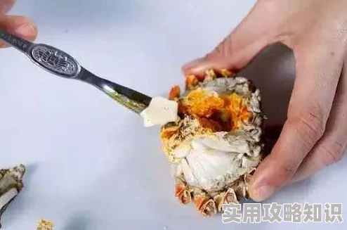 第五人格感恩节活动全攻略：玩法爆料与丰厚奖励指南
