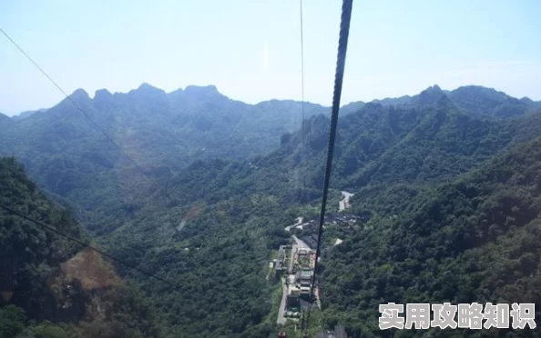 精品福利为何令人心驰神往因为种类丰富应有尽有满足您的各种需求