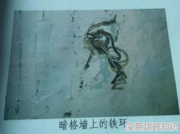 人与禽性伦关系为什么充满禁忌打破常规的刺激感吸引人们突破禁锢
