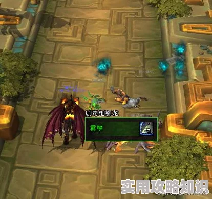 DNF手套选择大揭秘：高级、附魔、传说与史诗，哪个最适合你？