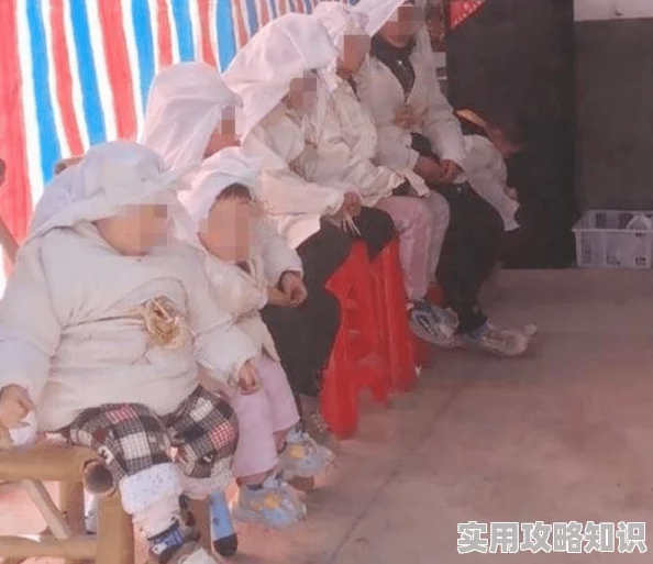 大菠萝福利院为什么内容优质更新及时服务到位所以备受追捧