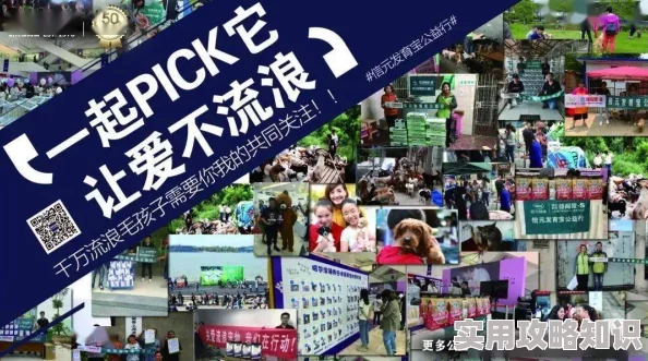 亚洲福利网站为什么互动性强社区活跃为何人气爆棚