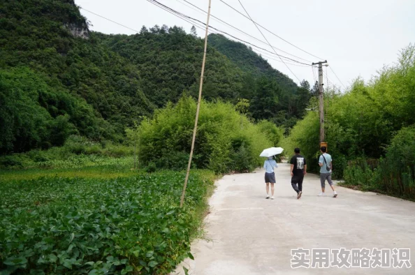 2024年必玩！经典烧烤店游戏大全爆料：趣味横生手游合集来袭