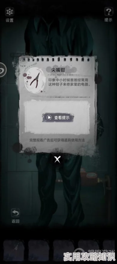 双生怨第二章全攻略揭秘：通关技巧与隐藏爆料大公开