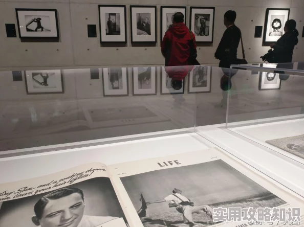 三角洲行动笔记本密码揭秘：内部爆料解锁方法大公开