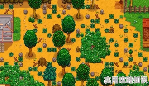 星露谷物语：全新爆料！玩家热议哪棵神秘树木颜值更胜一筹？