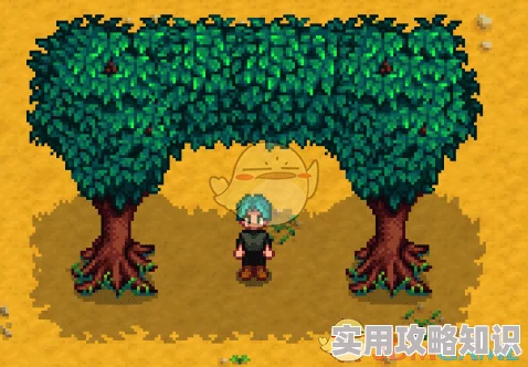 星露谷物语：全新爆料！玩家热议哪棵神秘树木颜值更胜一筹？