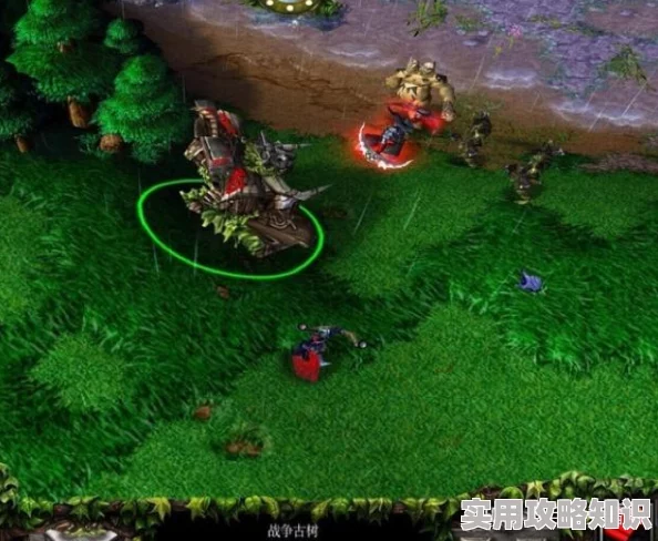 魔兽争霸新手必看：爆料推荐最佳初选种族选择指南