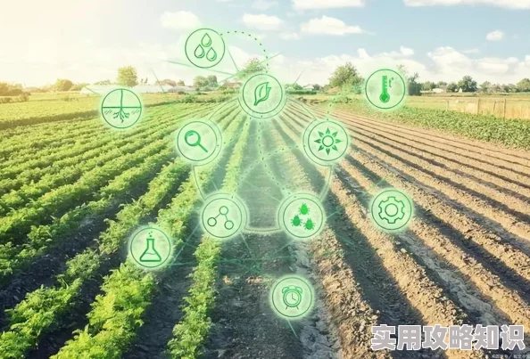 蜜桃在线2025元宇宙桃园盛会开启探索虚拟农业新时代
