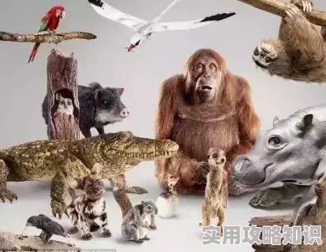 亚洲人与动物纪录片摄制完成进入后期制作阶段